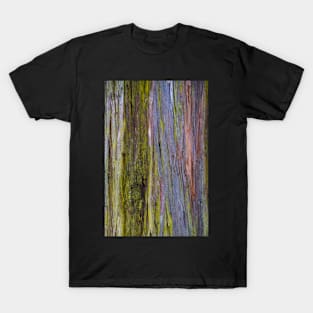 Blackbutt T-Shirt